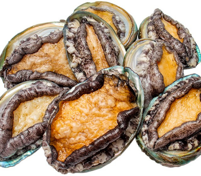 통영 국내산 전복 1kg, 1개, 1kg(9미)