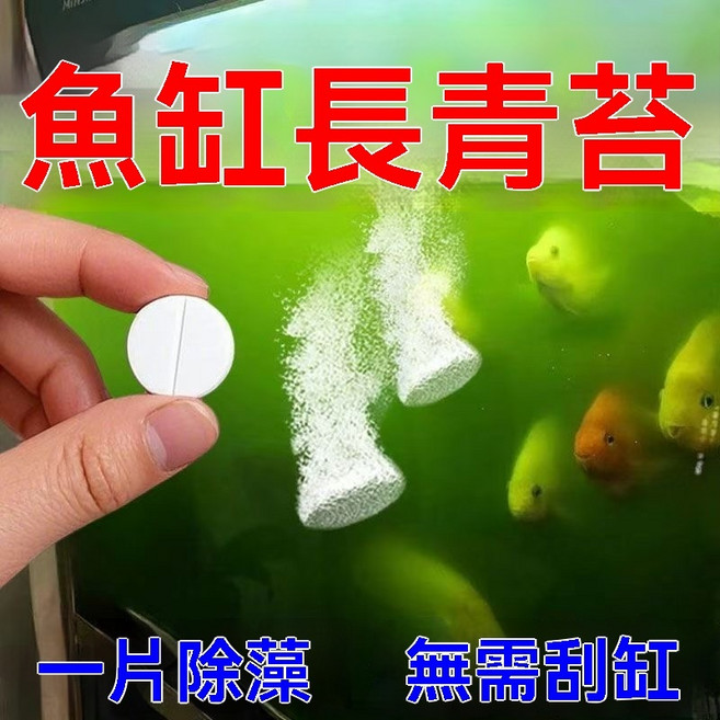 魚缸除藻片，淨化水質，去除青苔與藻類, 1個, 除藻片1瓶  35粒左右