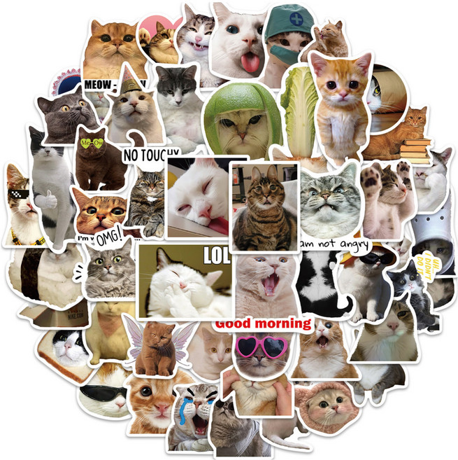 귀여운 고양이 밈 스티커 50매 다꾸 노트북 꾸미기 방수