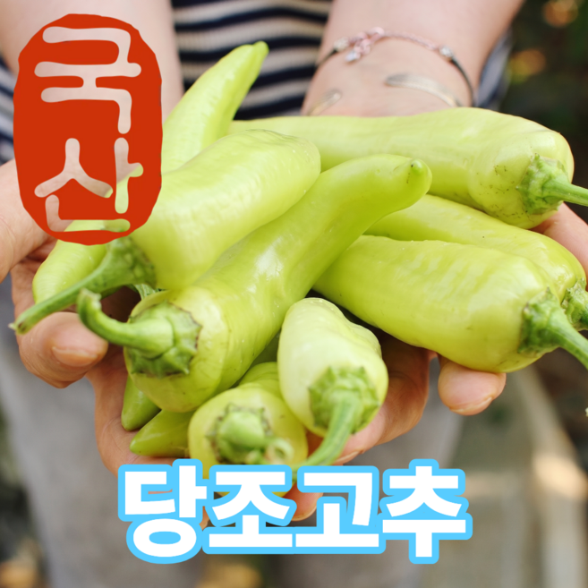 더맛곳간 국내산 당조고추 당고추 아삭이고추 오이고추처럼 아삭한 풋고추 아삭고추 순한맛고추, 1개, 500g
