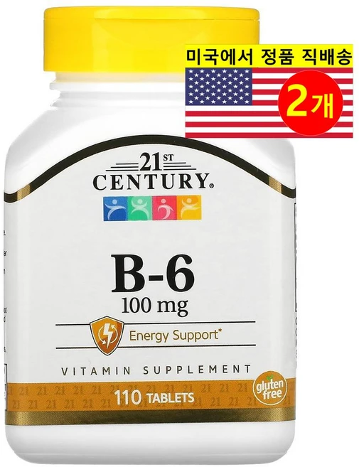 21st Century 21세기 센트리 비타민B-6 100mg 110정 2팩, 2개 - 쿠팡
