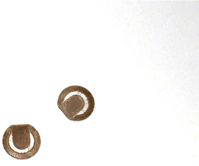 Waterpik 沖牙機墊片, 1個