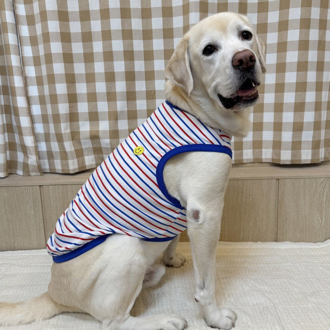 도기스타 강아지옷 깜찍포인트 민소매 나시 순면 티셔츠 소형 중형견 대형견옷, 1개, 블루