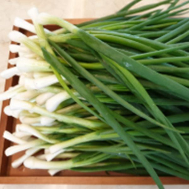 국내산 업소용 깐쪽파 1kg 내외, 1