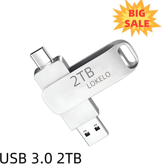 LOKELO <회전 덮개형 방수> 고품질 USB 3.0 2TB 대용량 플래시 실버 usb 메모리 360도 회전식 Type-C 2TB 외장하드 대용량 초고속 휴대용 저장장치, 1개, 256GB