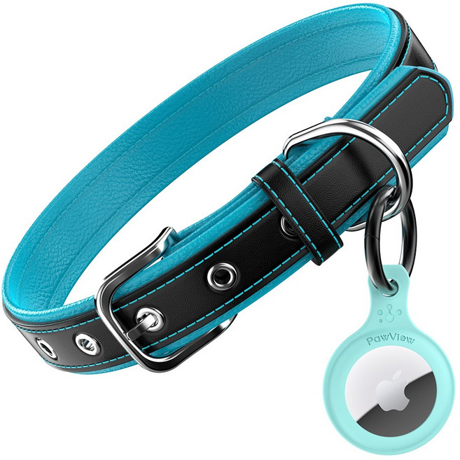 포뷰 튼튼한 소가죽 강아지 목줄 + 에어태그 게이스, 1세트, 블루+그린