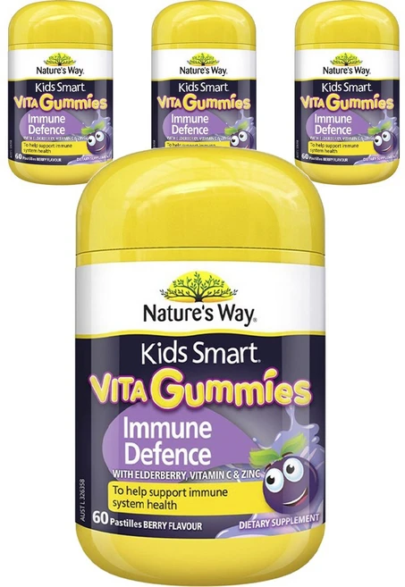 네이쳐스웨이 키즈 스마트 비타 구미스 이뮨 디펜스 패스티 베리맛, 60정, 4개 - 쿠팡