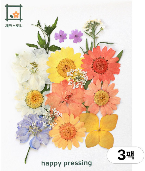 체크스토리 압화 컬러가든시리즈 누름꽃 꽃송이 압화재료 공예, 오렌지믹스15(3팩), 오렌지