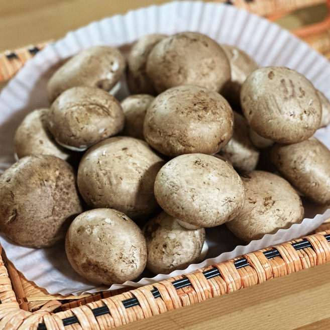 보령 양송이버섯 브라운 못난이 파지, 1박스, 2kg
