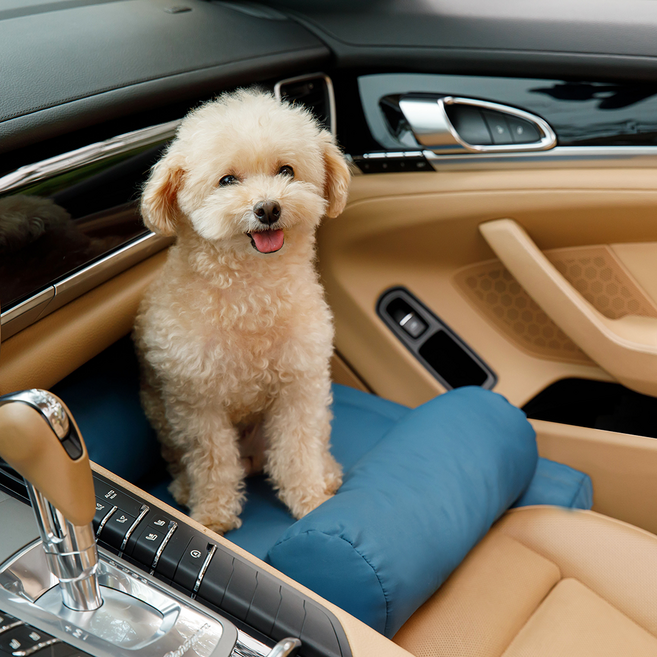 카스툴 강아지 앞좌석 추락 방지 카시트 중형견 대형견용 차량용 확장형 자동차 시트, 1개, 네이비