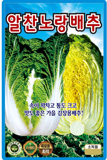 산들마켓 알찬노랑배추 씨앗 500립 가을 김장배추씨 종자, 1개