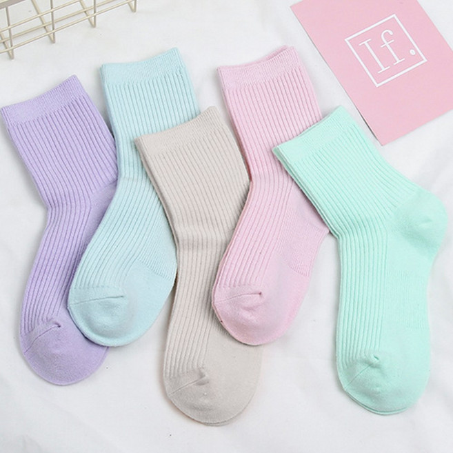 다이나토리 여성 남성 데일리 골지 밴딩 양말 5켤레