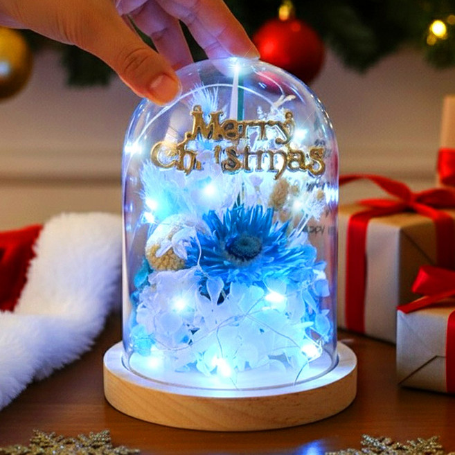 프리저브드 만들기 크리스마스 아크릴돔 화분 diy 겨울 키트 공예 재료, 프리저브드 아크릴돔 겨울꽃 만들기