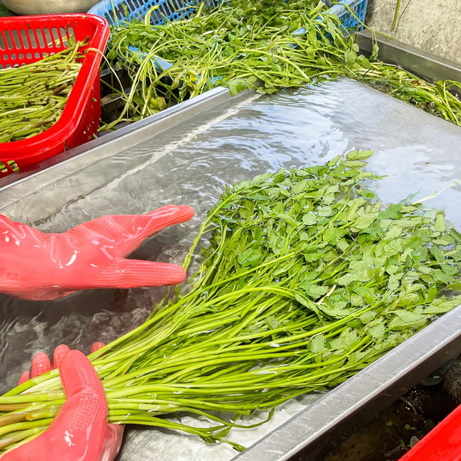 청도 한재 미나리, 1박스, 500g