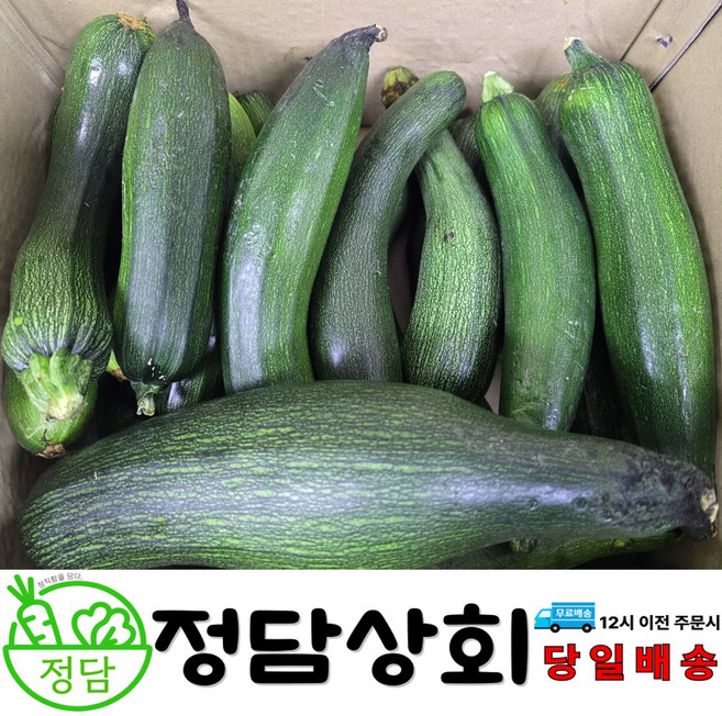 [ 정담상회 ] 주키니호박 쥬키니호박 못난이호박 업소용 C등급 하등급 10kg 내외, 1박스, 10kg내외