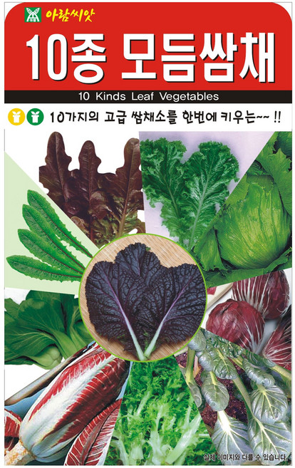 아람종묘 아람10종쌈채 씨앗 1000립, 1개