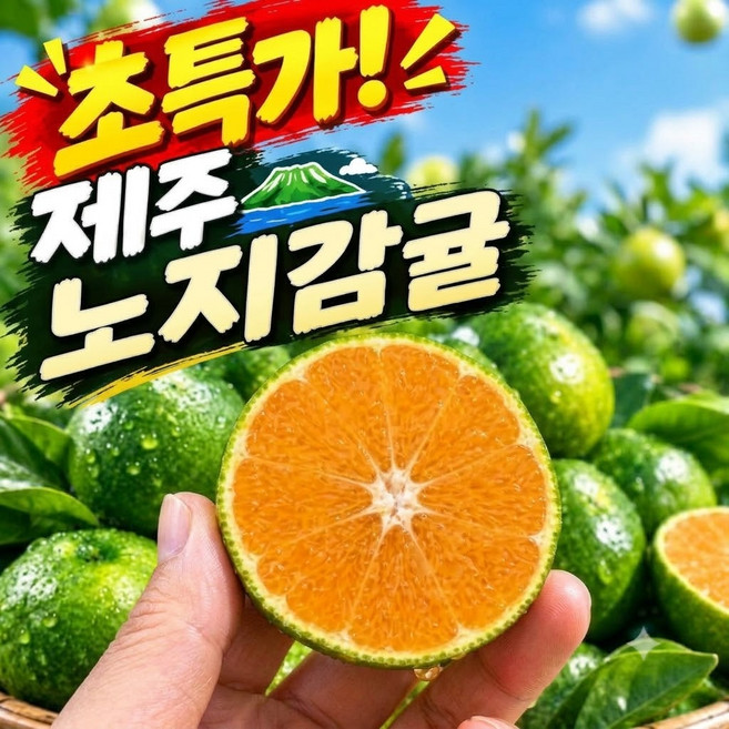 [하루50박스한정] 제주 새콤달콤 노지 감귤, 1박스, 10kg