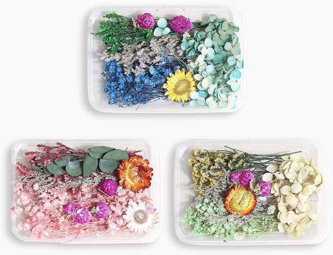 화연양화 프리저브드 드라이플라워 꽃모음 3개입 랜덤믹스