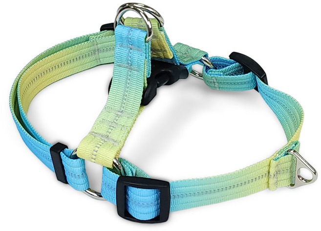 페르니 반사형 앞섬방지 강아지 하네스 가슴줄 Y형 레인보우팝 국산, 민트팝, 1개