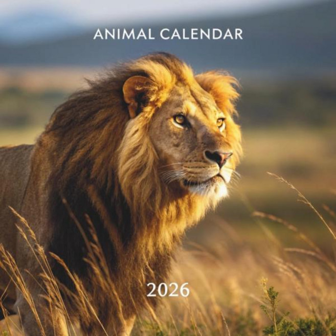 일본 직배송 동물 달력 2026 12개월 야생 동물의 경이로움 아름다운 생물 영감을 주는 자연의 순간