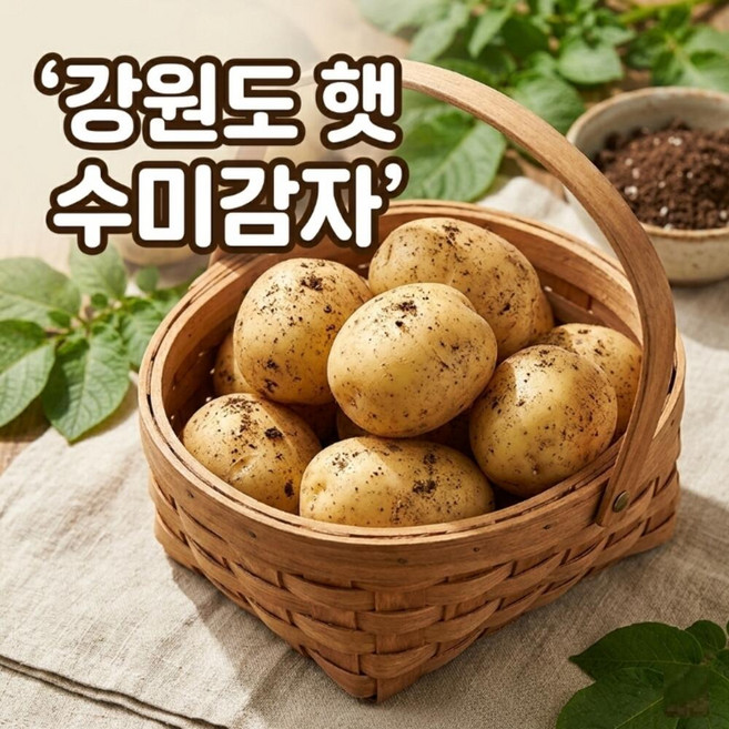 산지직송 국내산 강원도 햇 수미감자 포슬감자 26년햇감자 분감자, 1개, 3kg(중)강원도수미감자