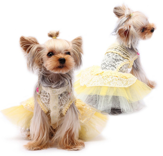앨리스디 옐로우 드레스 강아지옷 애견 의류, 3.M사이즈213300, 1개