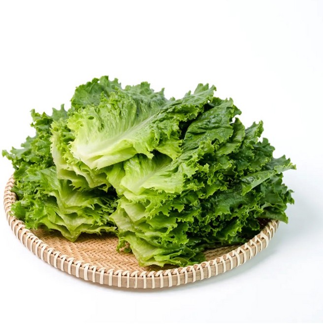 의령농산 건강채소 국내산 청상추 500g/1kg/2kg/4kg, 500g, 1박스