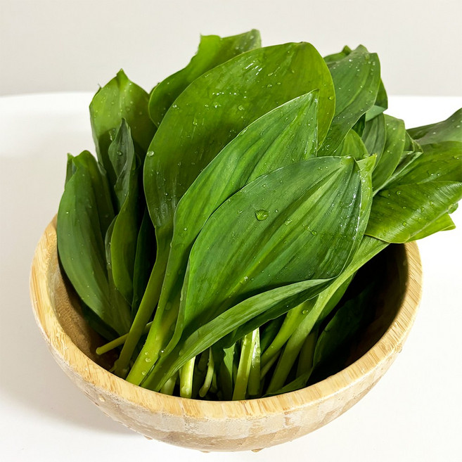 [한정판매]울릉도종 생명이나물 잎명이 산마늘잎 명이 생채, 2kg, 1개