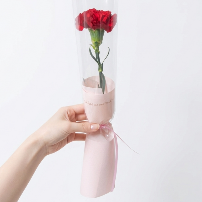 [예약가능] 카네이션 한송이 포장 생화 꽃배달 어버이날 스승의날 가정의달, 10개, 진한색