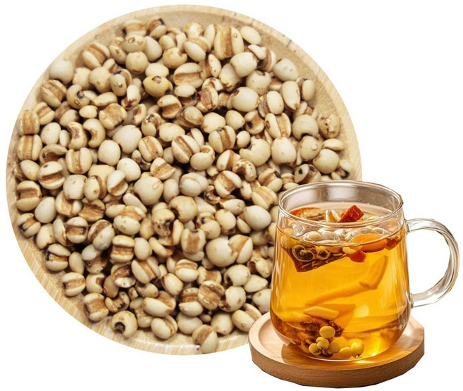 율무차볶은율무 구수하게 100%볶은율무 율무, 1개, 1개입, 500g