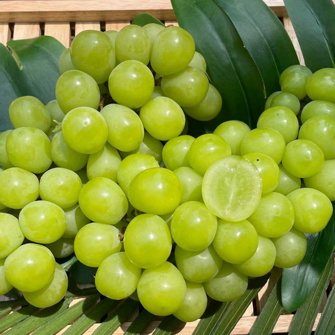 [블루밍그린] 달콤한 샤인머스켓, 1박스, 2kg / 5-6수