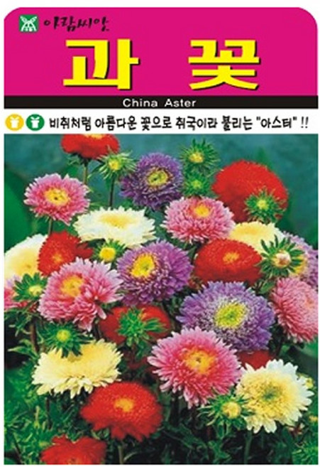 아람종묘 과꽃 씨앗 1000립, 1개