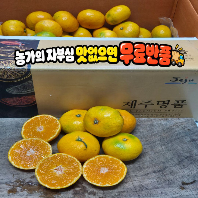 [오늘수확]얇은껍질 서귀포 고당도 감귤 타이벡감귤 QUYT, 1박스, 5kg 로얄과
