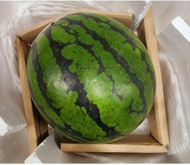 국내산 아삭달콤 함안 꿀 수박 하우스수박, 1박스, 8kg
