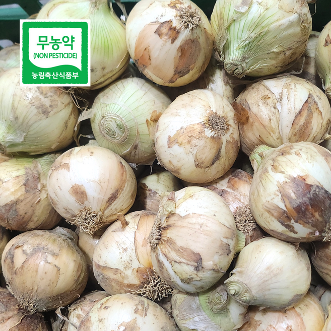 [한국유기팜] 국내산 친환경 무농약 햇 양파, 1박스, 2kg