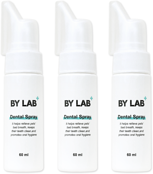 바이랩 덴탈 스프레이 강아지 구강 입냄새 치석 제거 뿌리는 치약, 60ml, 3세트