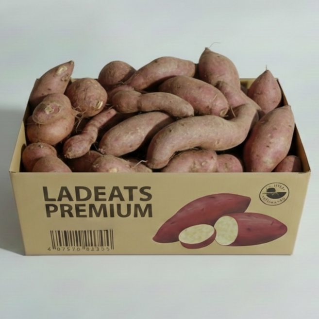 해남 고구마 꿀고구마 호박고구마, 1개, 못난이 10kg