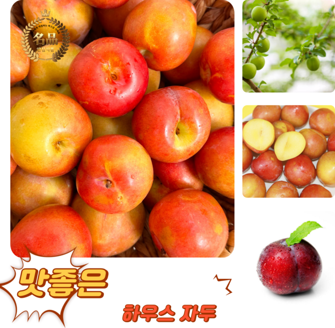 [굿피플] 고당도 달콤새콤 햇자두 하우스자두 자두, 1박스, 하우스 자두 900g 27-30과