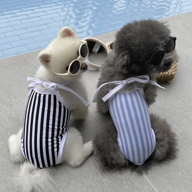 [당일배송] 입히기 쉬운 강아지용 여름 스트라이프 수영복 래쉬가드 바캉스 댕키니 물놀이, 블루, 1개
