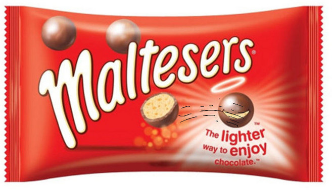 몰티져스 마스 초코볼, 37g, 20개