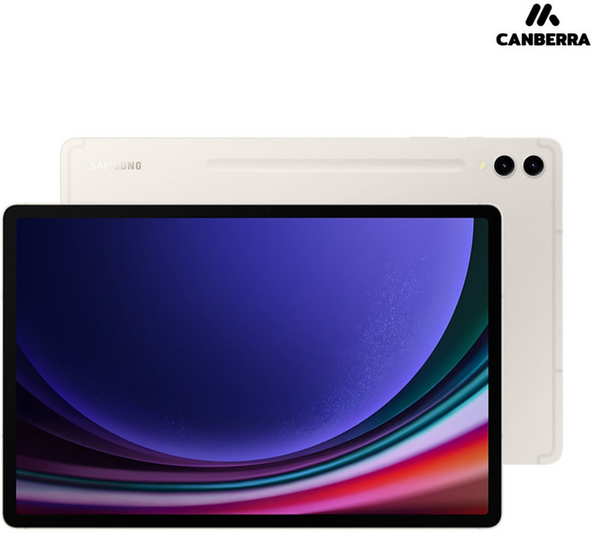 삼성 갤럭시탭S9 울트라 A급, 베이지, 256GB, Wi-Fi+Cellular