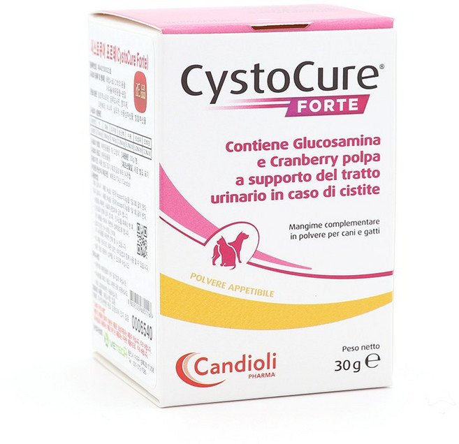 칸디올리 시스토큐어 포르테 강아지 고양이 방광염 결석 요로질환 요로감염 치료보조제, 1개