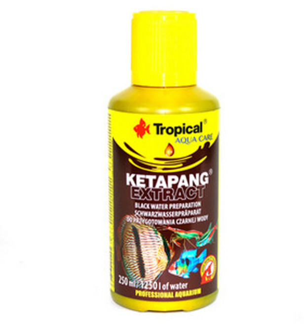 TROPICAL 케타팡 익스트랙트 알몬드잎 블랙워터 250ml, 1개