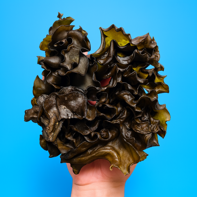 미자네농수산 완도 미역귀, 1개, 250g