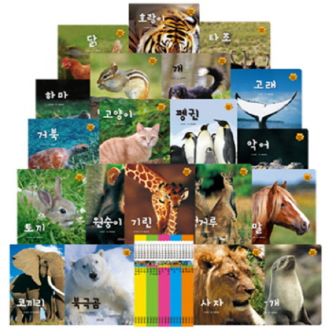 알기 쉬운 자연관찰 세트, 그린키즈