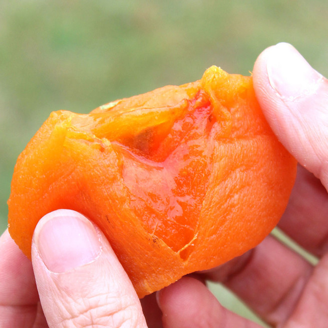 명품 상주곶감 건시 반건시 선물용 실속형, 1개, 1.8kg (중과)