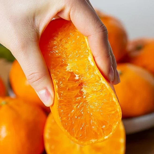 [재구매1위] 100박스한정 벌꿀맛 제주 한라봉, 1개, 10kg