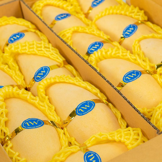 씨 얇고 당도 높은 태국 골드망고 남독마이, 1박스, 5kg