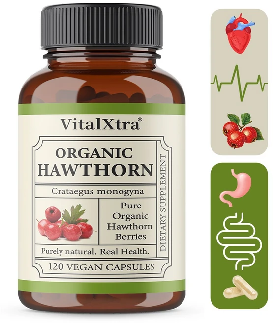 유기농 산사나무 열매 캡슐 - 심장 건강 지원 1회 980mg 천연 순환계 및 심혈관 건강 관리, 1개, 120회분 - 쿠팡