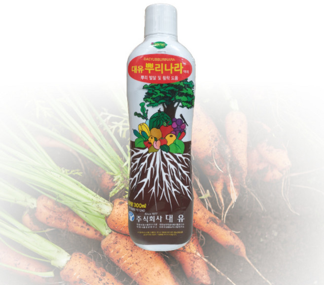 뿌리 발근 대유 뿌리나라 300ml/액상 영양제 활착 딸기 수박 무화과 고추 제라늄 블루베리 루팅파우더, 1개